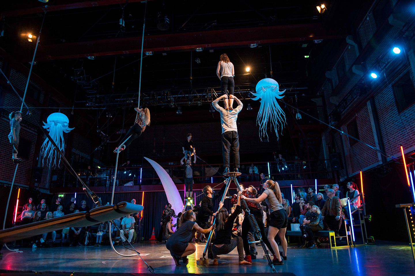 Shaking the Circus 2016 Einar Kling-Odenkrants WEB.jpg